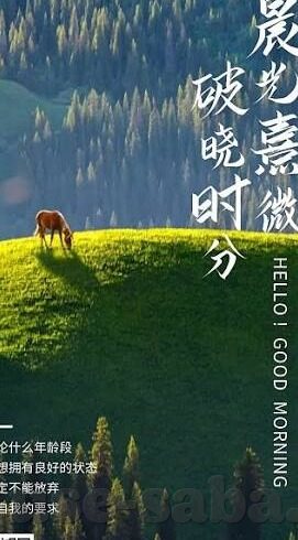 九游国际体育-九游国际体育，跨越边界的数字体育盛宴