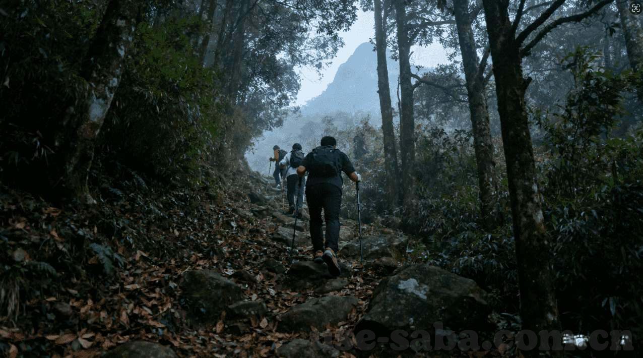 世界杯手机买球平台-世界杯手机买球平台，便捷与风险并存