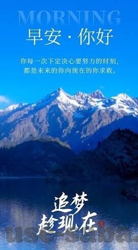 足球球探网即时比分-足球球探网即时比分，球迷的数据战场与战术解码器